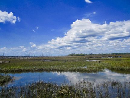 Land in Charleston County, South Carolina