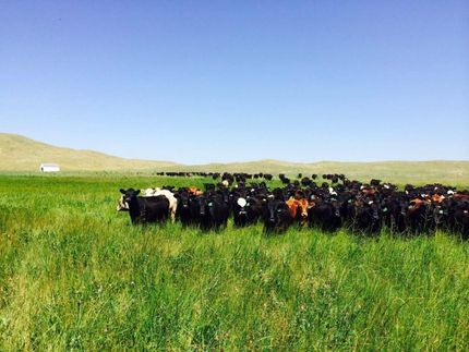 Farm and Ranch in Garden County, Nebraska