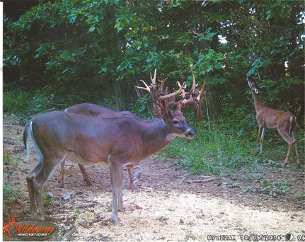 Recreational Property in Jackson County, Ohio