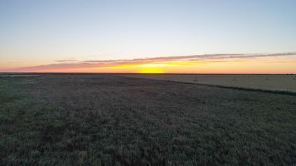 Farm and Ranch in Bailey County, Texas