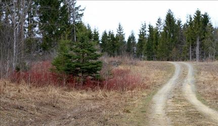 Land in Aroostook County, Maine