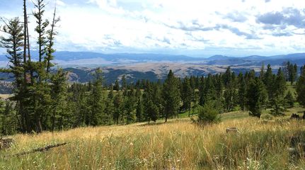Farm and Ranch in Granite County, Montana