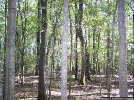 Land in Attala County, Mississippi