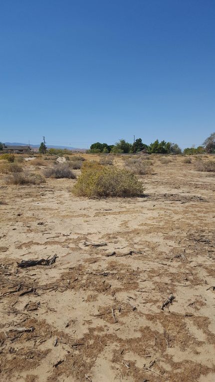 Undeveloped Land in Los Angeles County, California