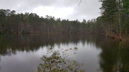Undeveloped Land in Harris County, Georgia