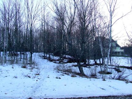 Homesite in Benzie County, Michigan