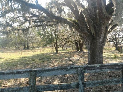 Farm and Ranch in Hardee County, Florida