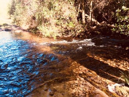Recreational Property in Mobile County, Alabama