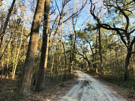 Undeveloped Land in Beaufort County, South Carolina