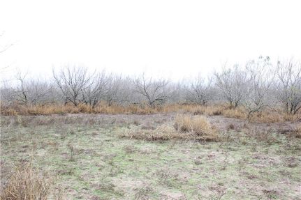 Land in Brooks County, Texas