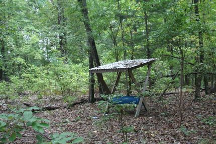 Land in Lowndes County, Alabama