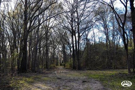 Recreational Property in Van Zandt County, Texas