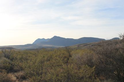 Undeveloped Land in Brewster County, Texas