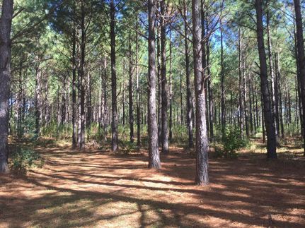 Land in Fairfield County, South Carolina