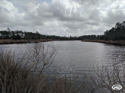 Farm and Ranch in Pamlico County, North Carolina