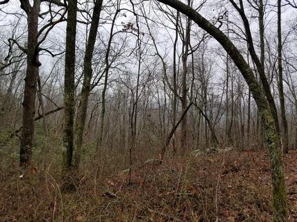 Timberland Property in Marion County, Tennessee