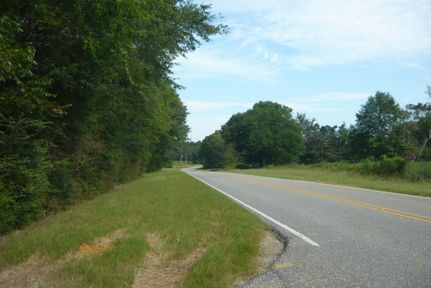 Undeveloped Land in Coffee County, Alabama
