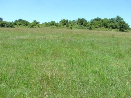 Undeveloped Land in Osage County, Oklahoma