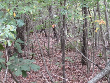 Land in Adair County, Oklahoma