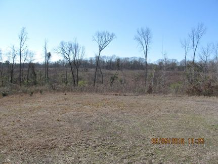Timberland Property in Hinds County, Mississippi