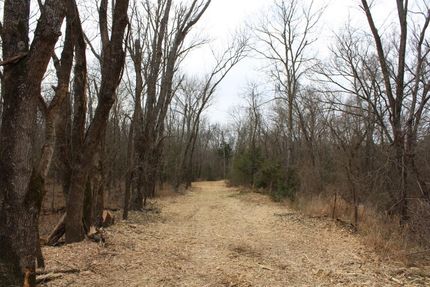 Timberland Property in Lamar County, Texas