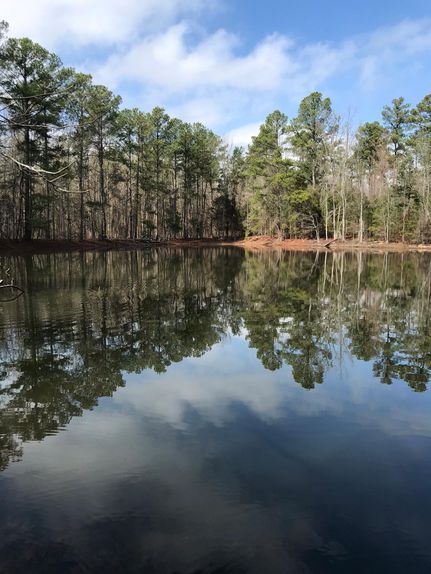 Undeveloped Land in Lexington County, South Carolina