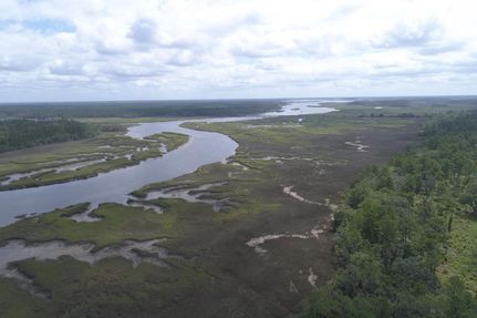 Undeveloped Land in Glynn County, Georgia
