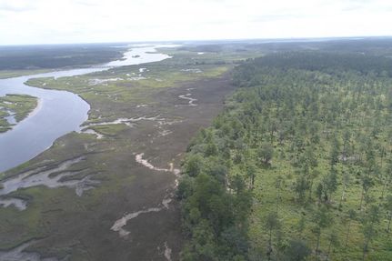 Undeveloped Land in Glynn County, Georgia