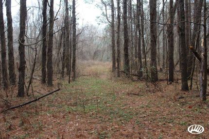 Farm and Ranch in Bertie County, North Carolina