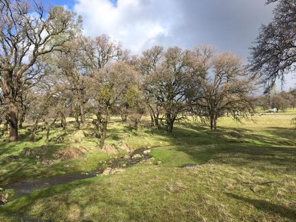 Undeveloped Land in Yuba County, California