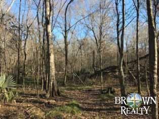 Timberland Property in Franklin Parish, Louisiana