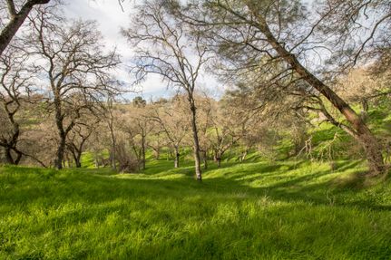 Timberland Property in Calaveras County, California