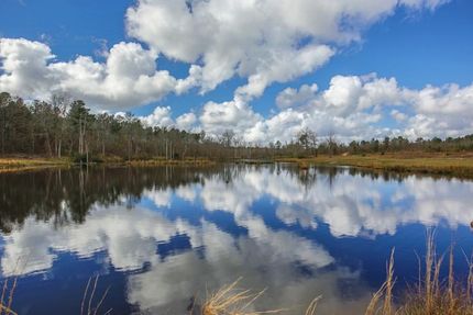 Undeveloped Land in Hancock County, Georgia