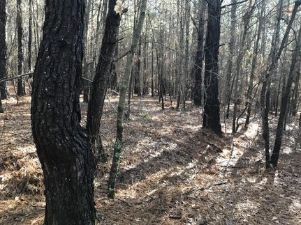 Land in Pickens County, South Carolina