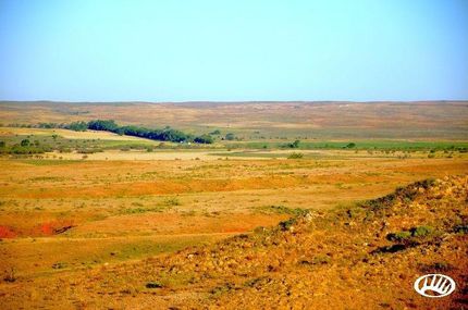 Land in Meade County, Kansas