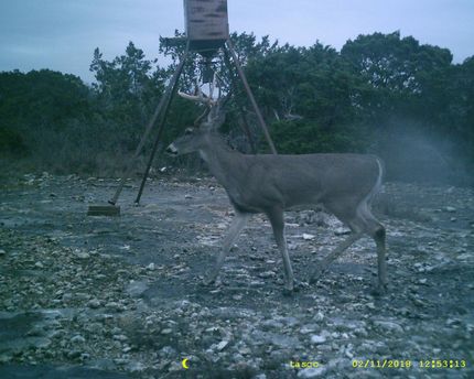 Hunting Property in Uvalde County, Texas
