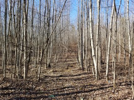 Land in Grundy County, Tennessee