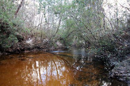 Farm and Ranch in Escambia County, Alabama