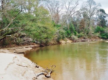 Undeveloped Land in Pike County, Mississippi