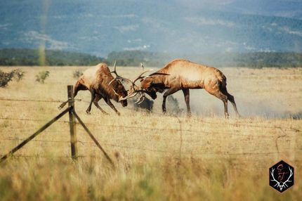 Undeveloped Land in Pueblo County, Colorado