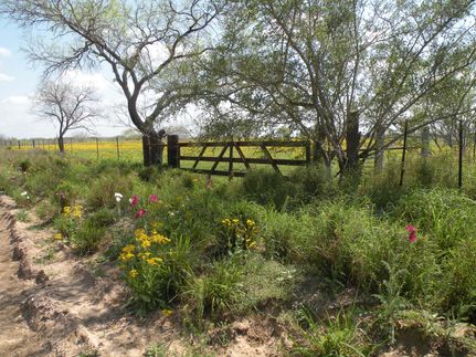 Recreational Property in Duval County, Texas