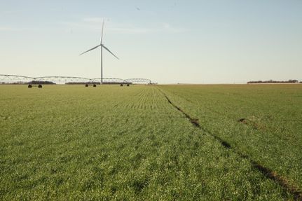 Land in Knox County, Texas