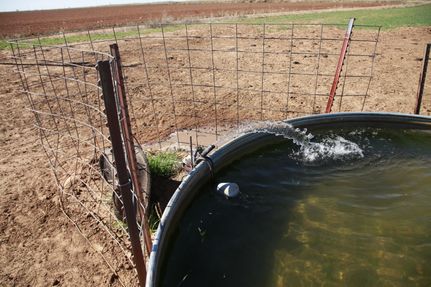 Farm and Ranch in Knox County, Texas