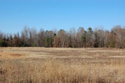 Timberland Property in Dallas County, Arkansas
