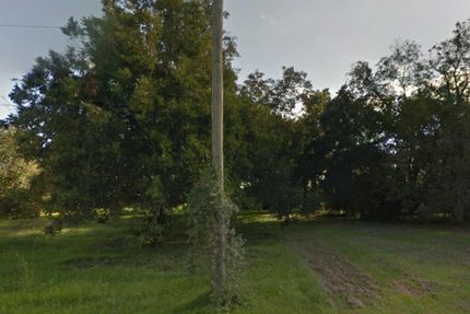Timberland Property in Brazoria County, Texas