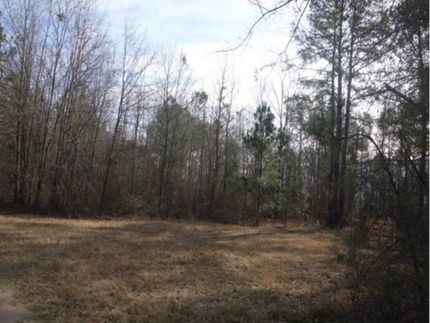Timberland Property in Lee County, South Carolina
