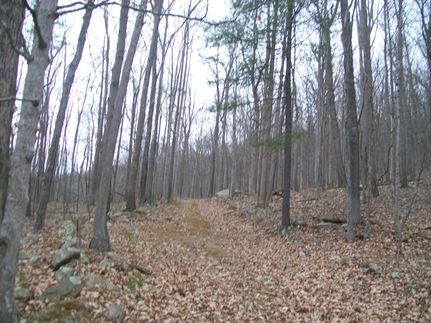 Land in Hardy County, West Virginia