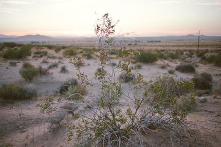 Undeveloped Land in Kern County, California