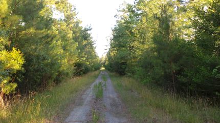 Land in Horry County, South Carolina