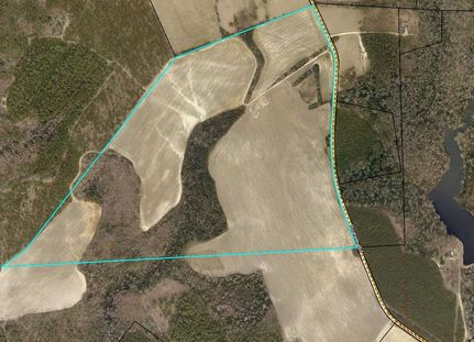 Farm and Ranch in Jefferson County, Georgia